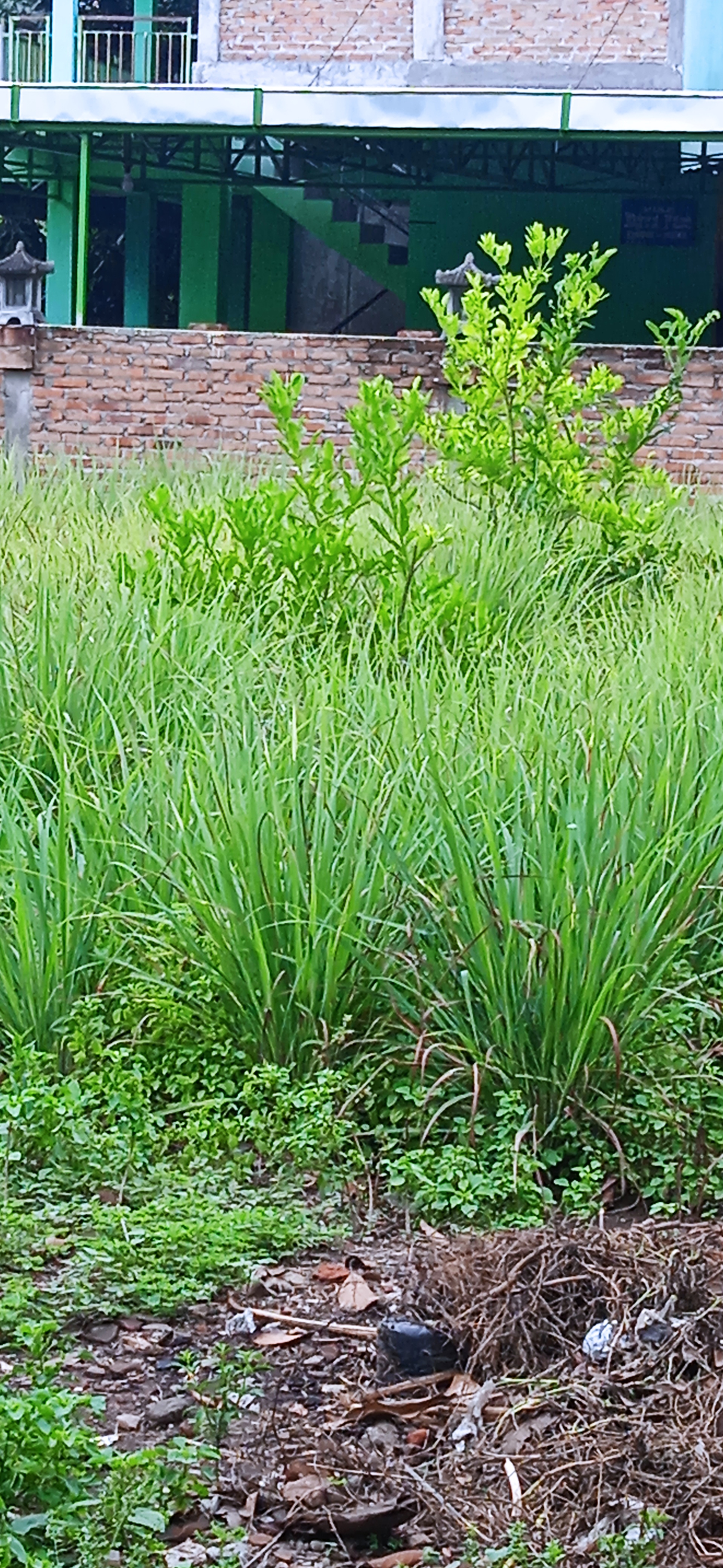 Foto 1